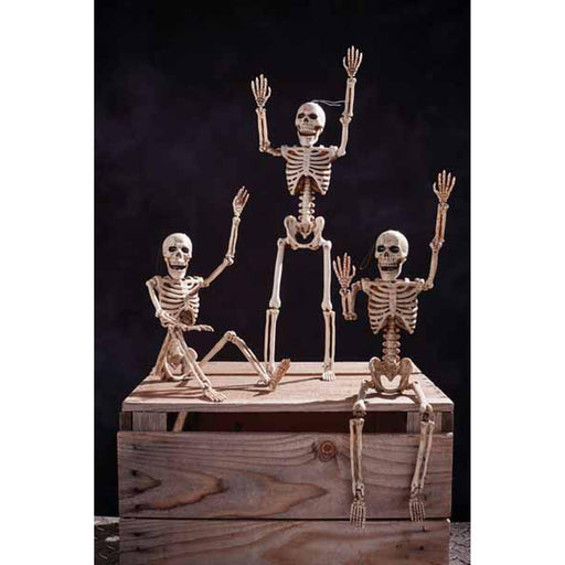 14" Posable Skeleton Set Of 12 - Display