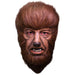 "The Wolfman Mask - Unleash Your Inner Beast!"