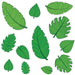 Tropical Leaf Cutouts, 12 Count