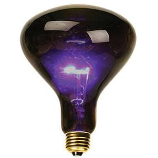 100W Mushroom Blacklight Bulb