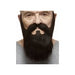 Dark Brown Costume Moustache and Beard Set