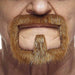 Auburn Moustache and Beard Costume Accessory