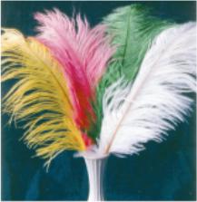 Small Green Ostrich Plume