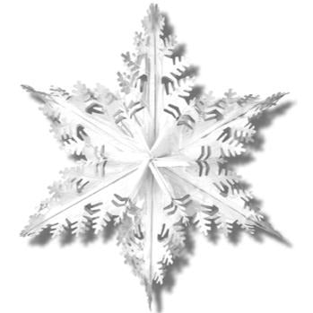 24-Inch Metallic Silver Snowflake Decoration