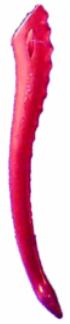 14 Inch Devil Tail Costume Accessory