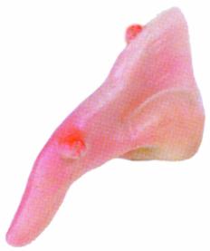Witch Nose Costume Accessory with Elastic Strap