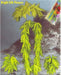 Tropical Fern Wrist Lei and Headband Set