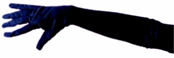 Black 20 Inch Opera Gloves, Adult One Size