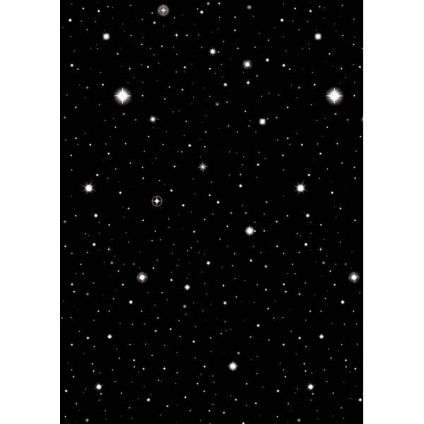 Hollywood Star Night Room Roll