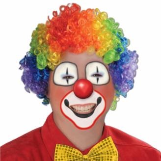 Rainbow Afro Clown Wig, 1 Pack