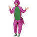 Officially Licensed Barney Adult Costume, Large