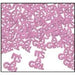It's a Girl Fanci-Fetti Confetti, 1 oz