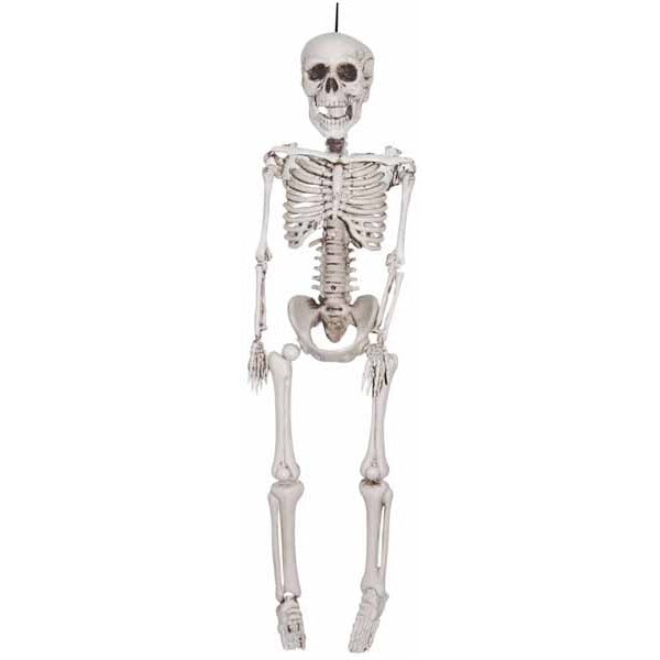 12-Inch Realistic Plastic Skeleton