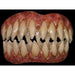 Bitemares Soul Eater Horror Costume Teeth