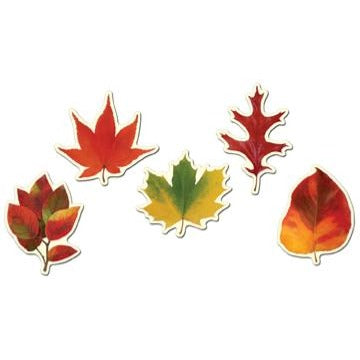 Mini Fall Leaf Cutouts, 10 Count