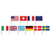 "50 Pack International Flag Picks (2.5") For Patriotic Parties And International Celebrations"