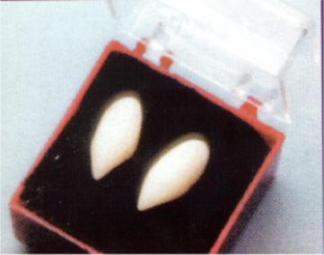 Backstage Vampire Fangs Costume Accessory