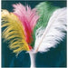 Small Pink Ostrich Plume