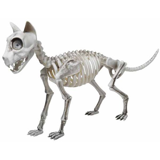 Décoration d'Halloween squelette de chat Skele-Cat de 20 pouces