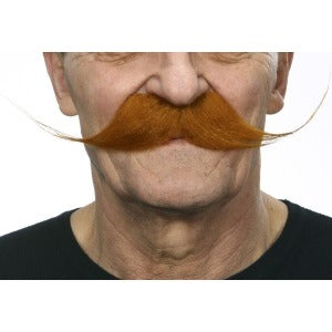 Strawberry Red Hook Moustache Costume Accessory