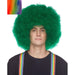 Multicolor Afro Costume Wig