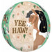 Yee Haw Horse 16-Inch Orbz Foil Balloon
