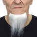White Costume Beard, 12 x 10.5 cm