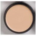 Graftobian Warm Olive Foundation Makeup FFL9C