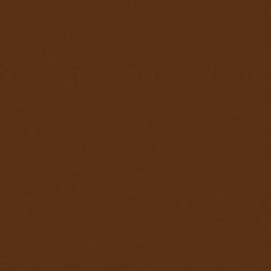 Cinema Secrets Ultimate Foundation 101(01) Radiant Spice, 0.50 oz
