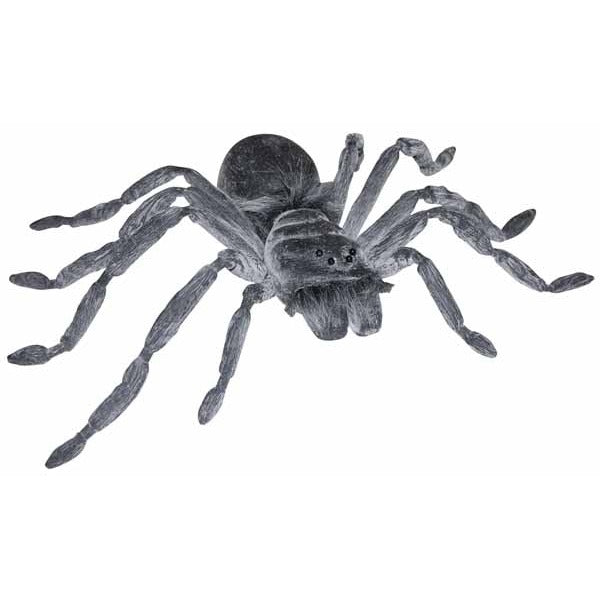 Gray Spider