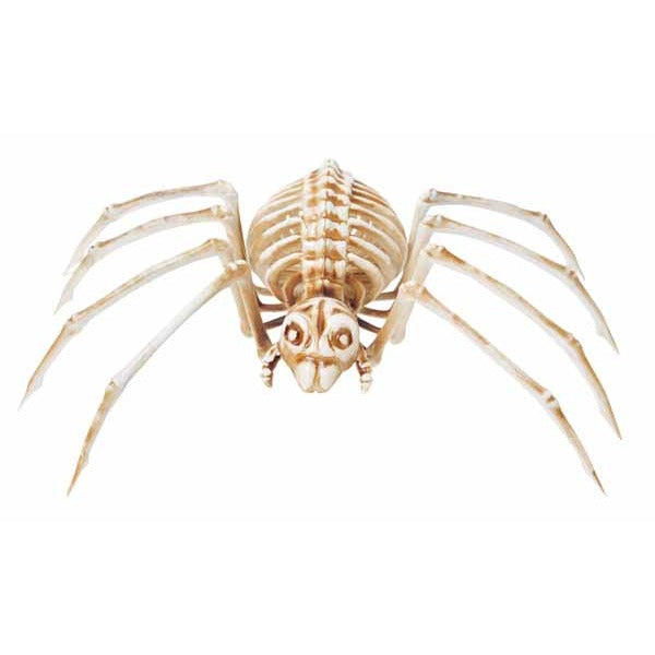 14-Inch Spider Skeleton Halloween Decoration