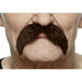 Dark Brown Costume Moustache, 11 x 6 cm