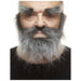 Grey Moustache, Beard and Eyebrow Costume Set