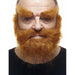 Red Heinz Moustache, Beard and Eyebrow Costume Set