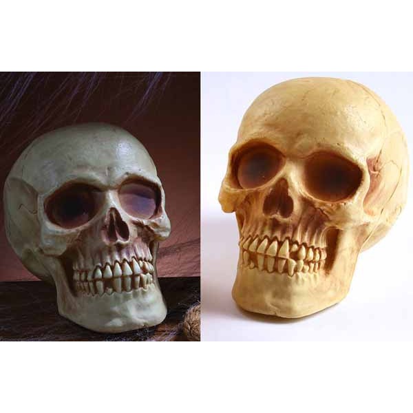 8-Inch Plastic Skull with Natural Brown Rub Finish