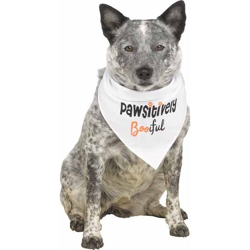 Pup Howloween White Dog Bandana, Small/Medium