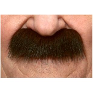 Brown and Red Costume Moustache, 8.5 x 3.5 cm
