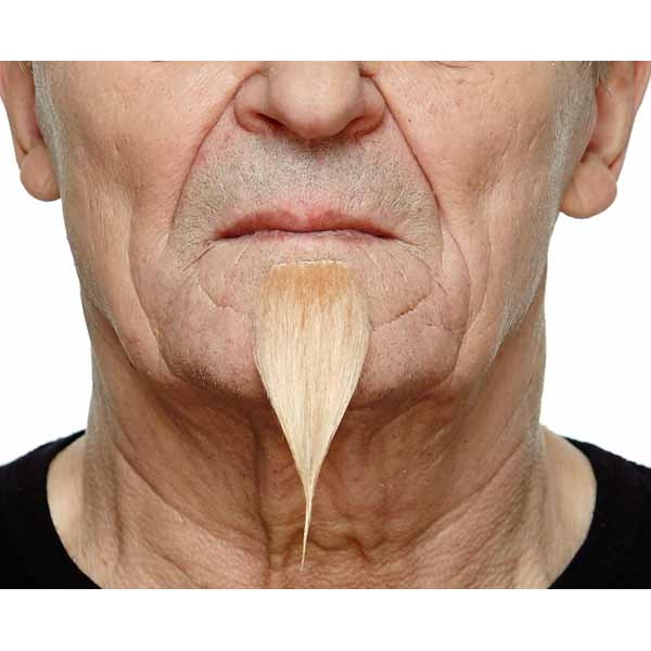 Blonde Moustache and Goatee Costume Set