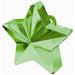 Green Star Balloon Weight, 170g