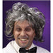 Grey Tousled Mad Scientist Costume Wig