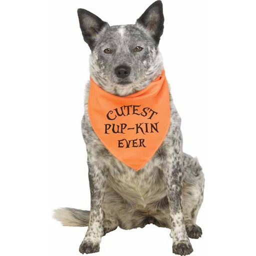 Pup Howloween Orange Dog Bandana, Large/XL