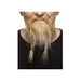 Blonde and White Costume Moustache and Beard Set