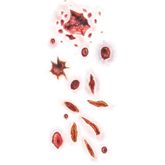 Tinsley Transfers Shot & Stabbed Trauma Temporary Tattoos