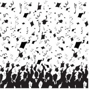 Graduation Party Backdrop, 4 ft x 30 ft