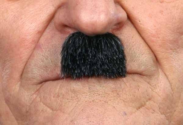 MOUSTACHE BLACK GREY 4 CM X 3 CM