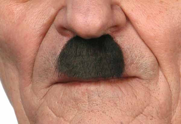 Self-Adhesive Dark Brown Moustache with White Flecks