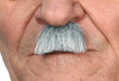 MOUSTACHE WHITE GREY 4 CM X 3 CM