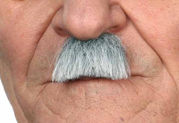 MOUSTACHE WHITE GREY 4 CM X 3 CM
