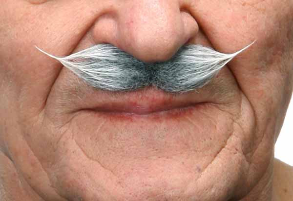 White and Grey Costume Moustache, 9 x 2 cm