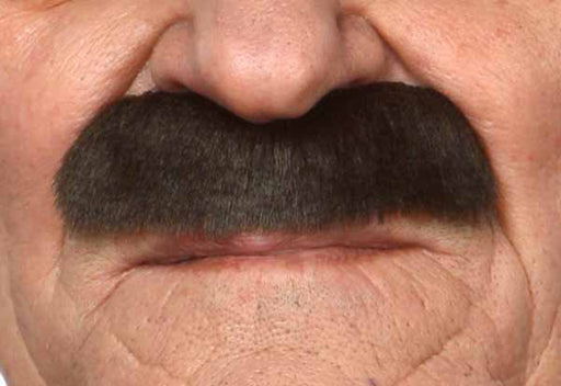 Dark Brown Costume Moustache, 8 cm x 3 cm